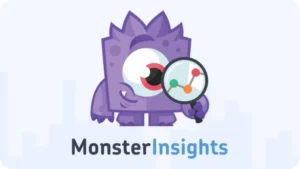 MonsterInsights